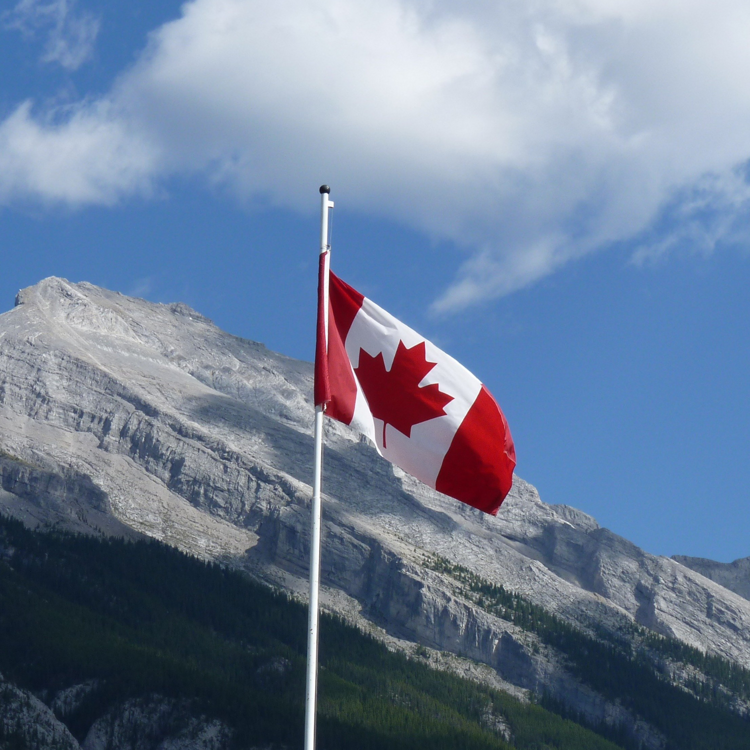 Canadian Brands 🇨🇦