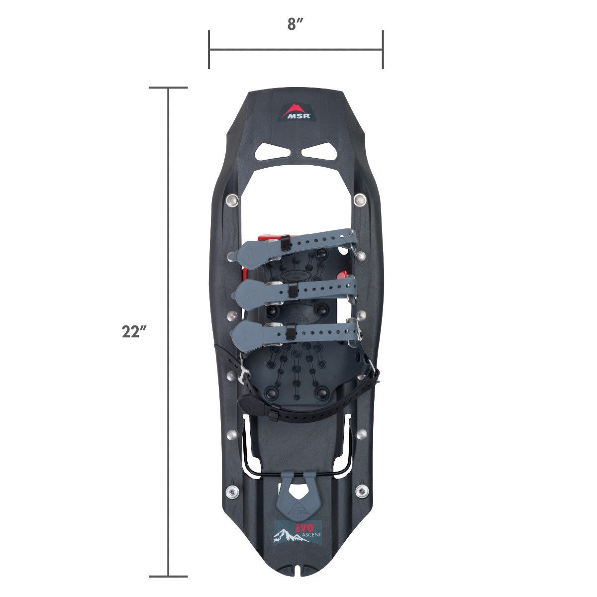 MSR Evo Ascent Snowshoes