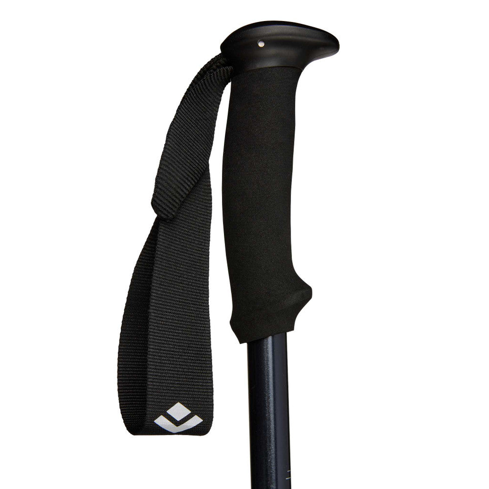 Black Diamond Trail Explorer 2 Trek Poles