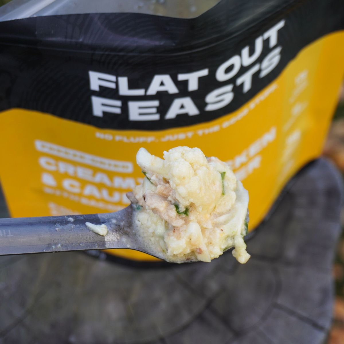 Flat Out Feasts Creamy Chicken and Cauliflower
