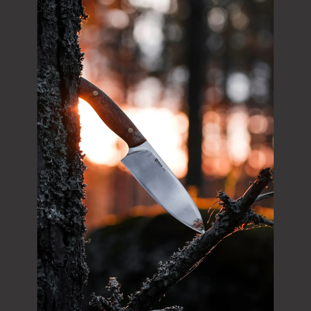 Helle Dele Chef Knife