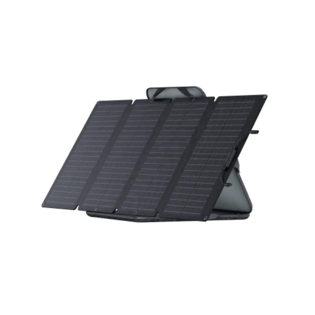 EcoFlow River 2 Pro Solar Generator (160W Panel)