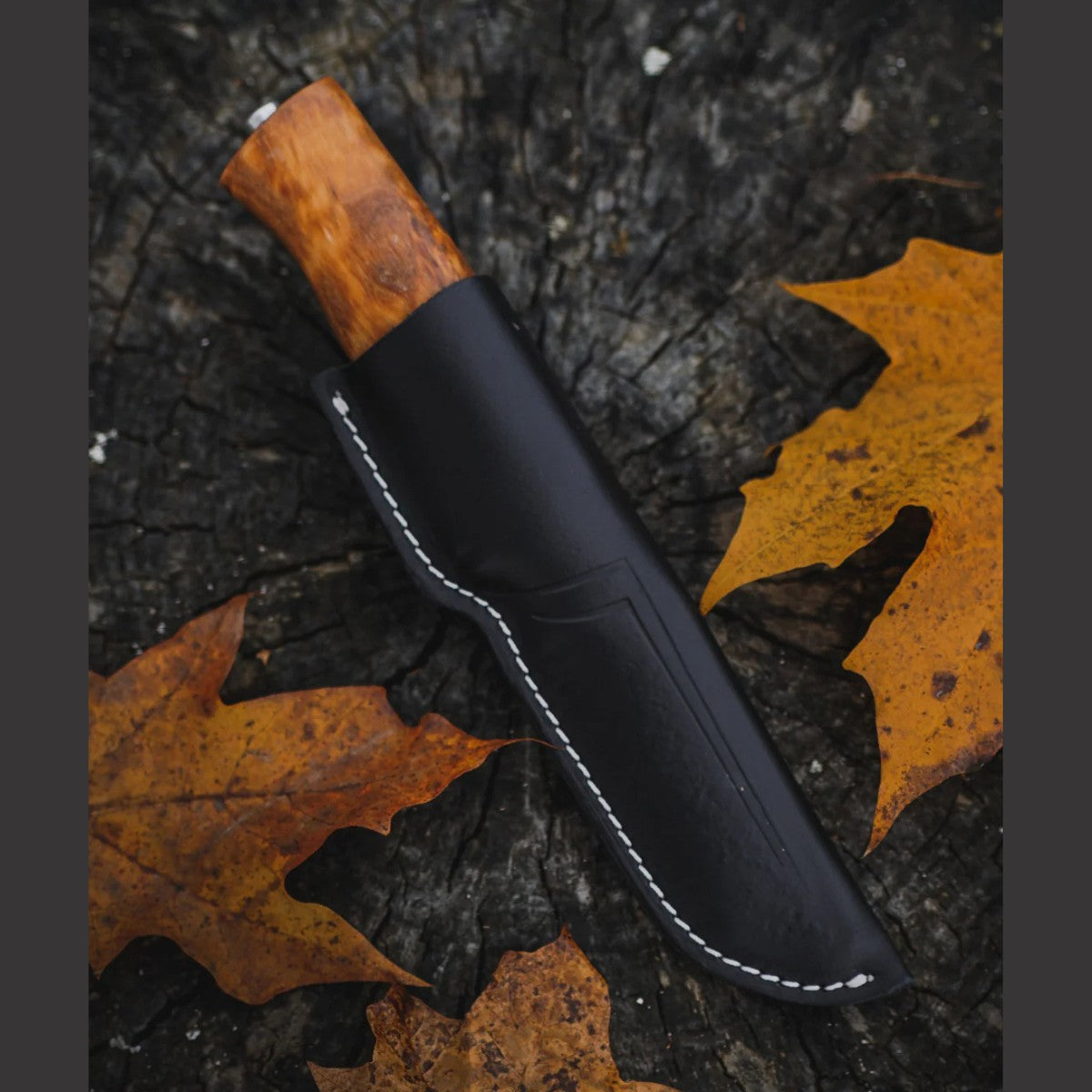 Helle Eggen 12C27 Knife