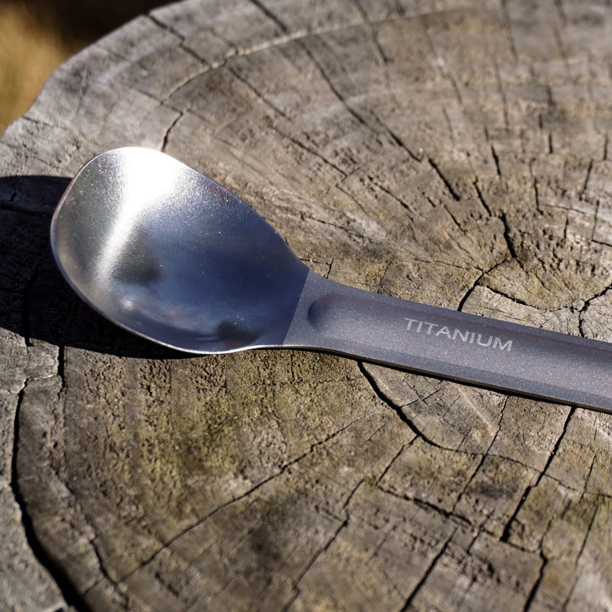 Flat Out Feasts Titanium Long Handled Spoon