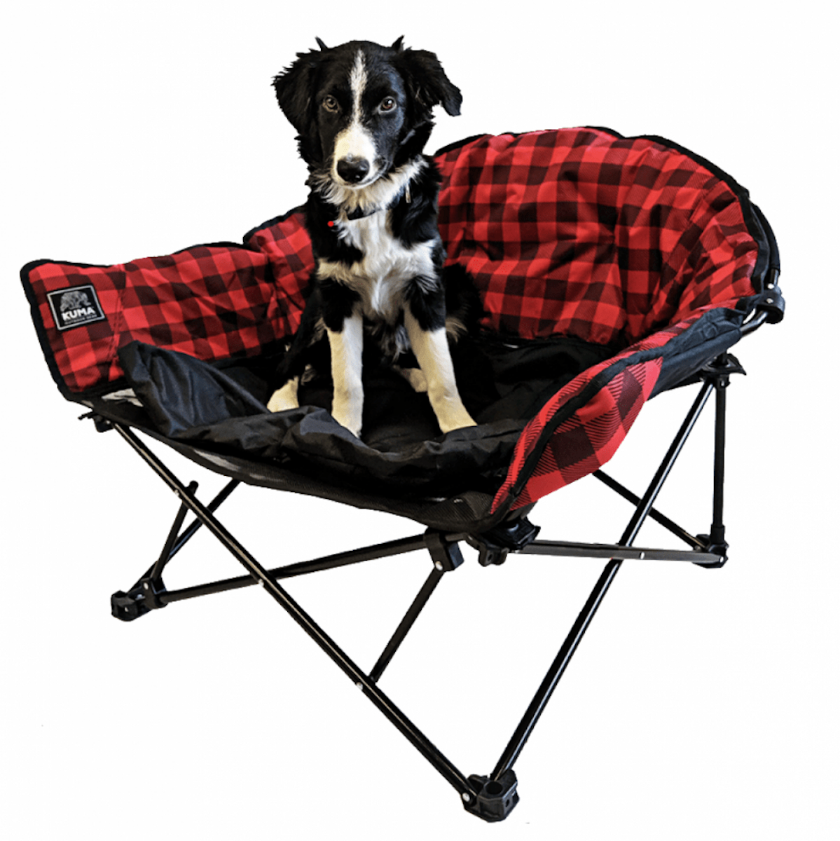 Kuma Lazy Bear Dog Bed
