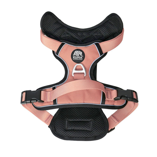 Kuma Lazy Bear Dog Harness