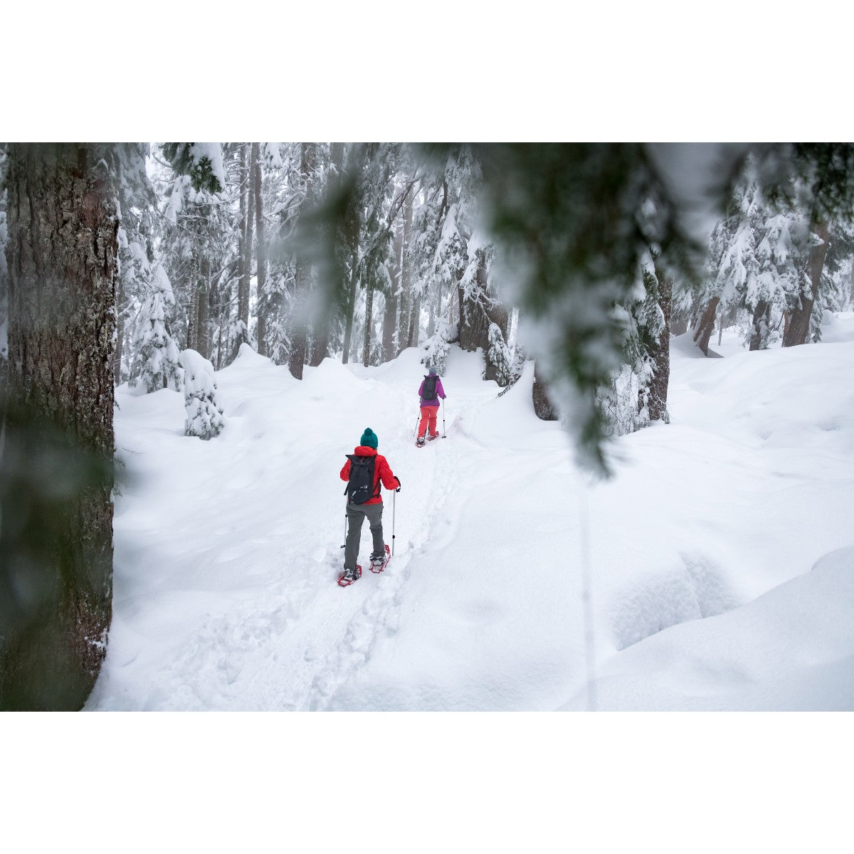 MSR Shift Electric Pop Pink Youth Snowshoes