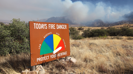 How to Prepare for and Survive a Wildfire