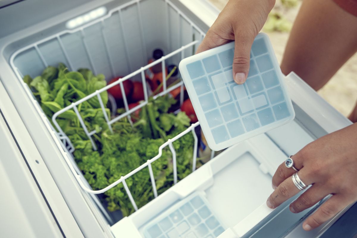 Electric Fridges and Freezers