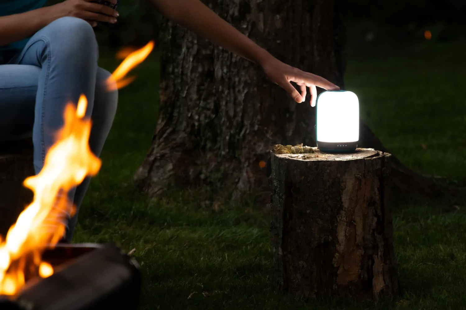 Flashlights, Headlamps & Lanterns