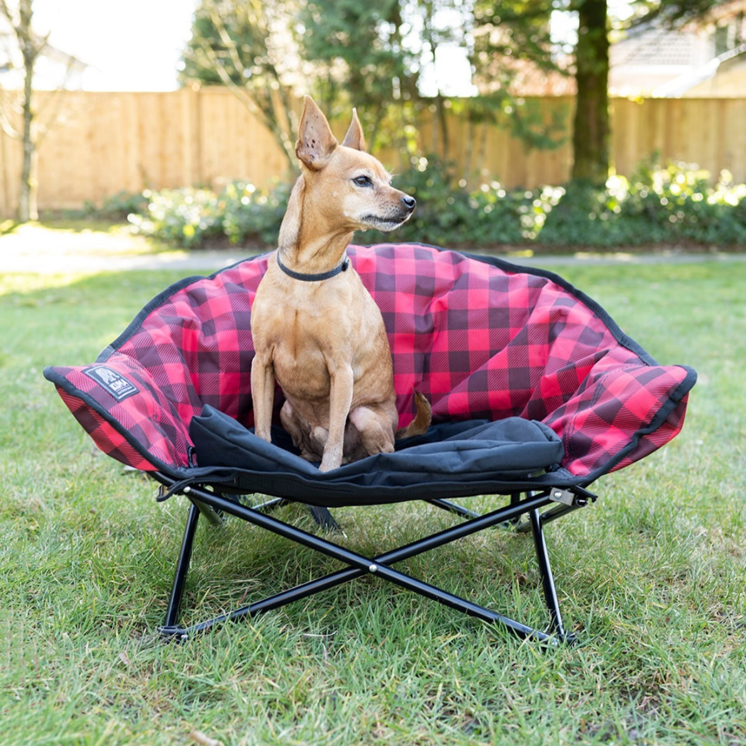 Dog Gear