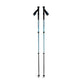 Black Diamond Trail Back Trekking Poles