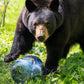 Bear Vault Bear Proof Food Container