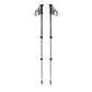 Black Diamond Trail Explorer 3 Trek Poles