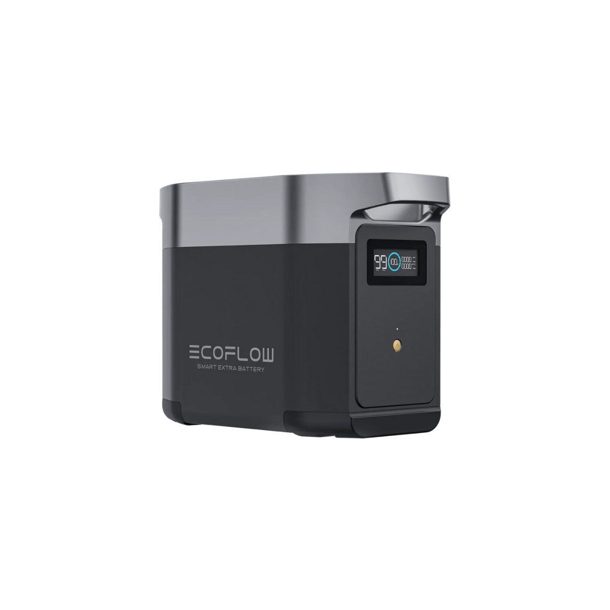 EcoFlow Delta 2 Smart Extra Battery