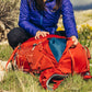 Gregory Amber 55 Backpack - Womens
