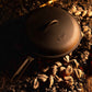 GSI Guidecast 10" Deep Fry Pan