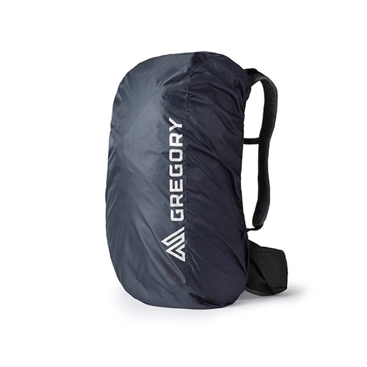 Gregory Raincover 30L