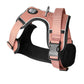 Kuma Lazy Bear Dog Harness