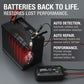 NOCO GENIUS10 10A Battery Charger