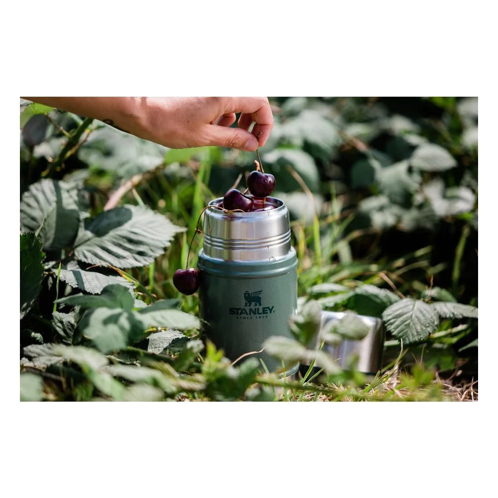Stanley Classic Legendary Food Jar 24oz in Hammertone Green lifestyle shot outdoors showing the open jar with stainless steel wide-mouth opening filled with fresh dark cherries, Stanley Since 1913 logo on the hammertone green textured body, set among green garden foliage with a hand dropping cherries in from above