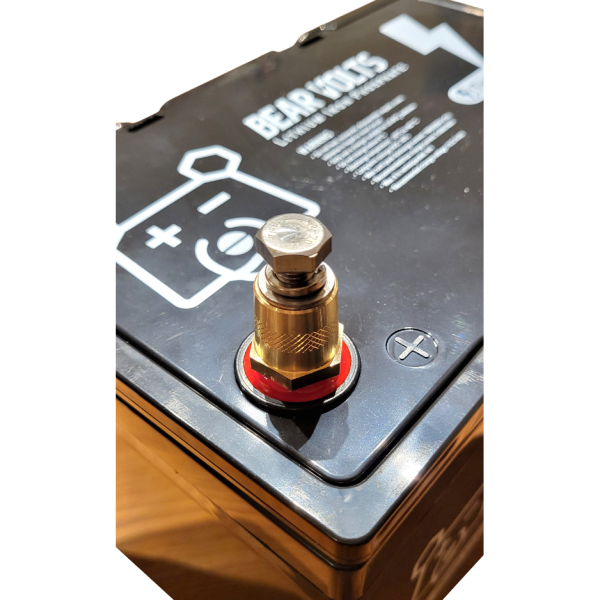 Brass M8 Terminal Post Adapter (pair)