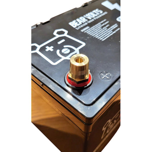 Brass M8 Terminal Post Adapter (pair)